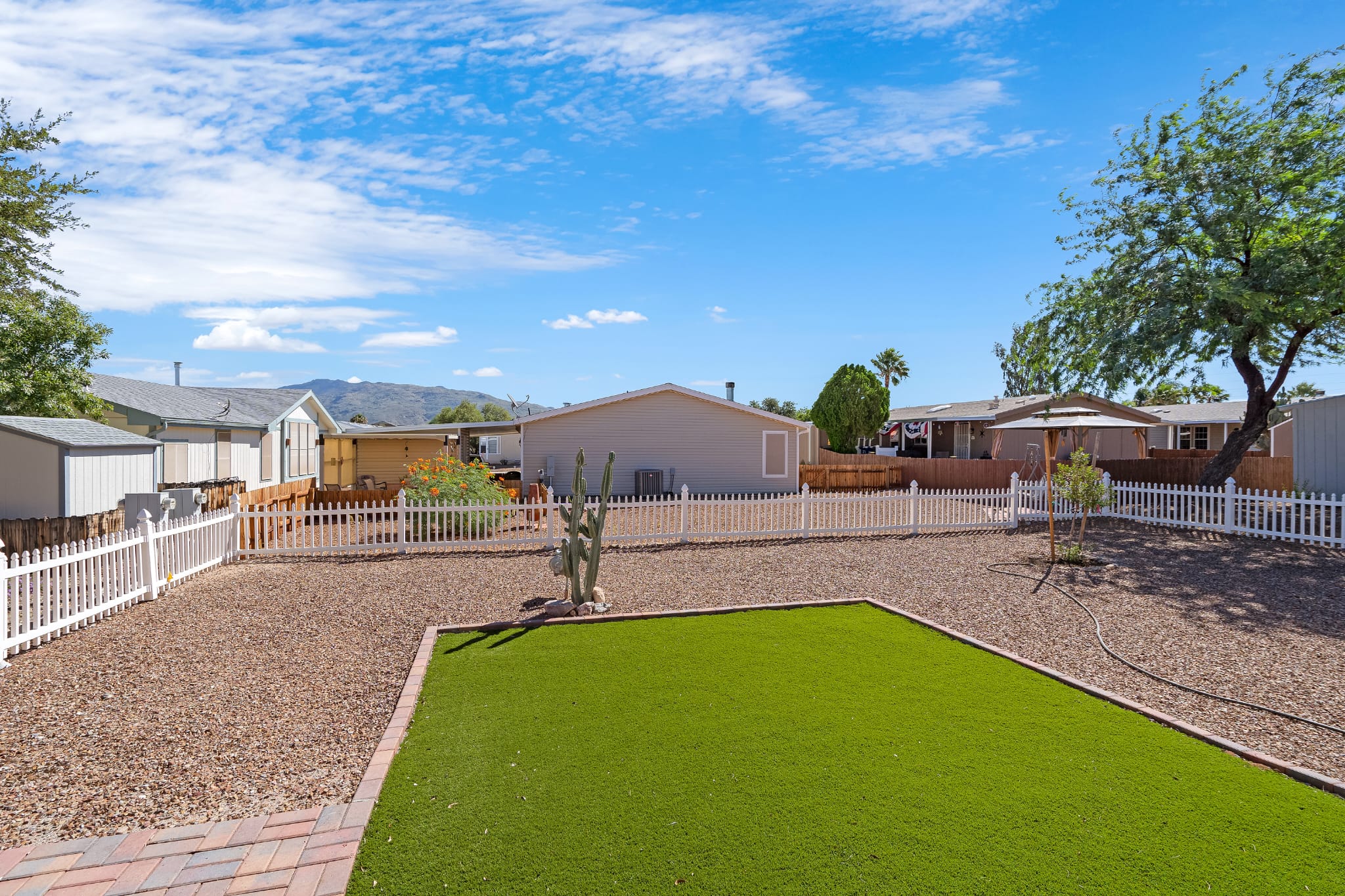 4 backyard 3